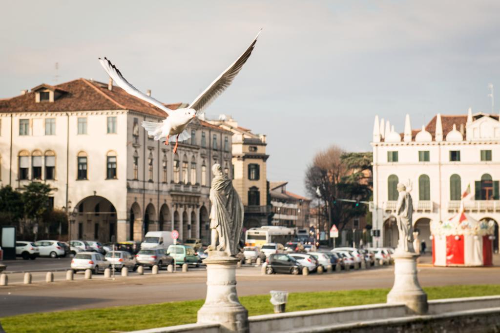 Myplace Prato Della Valle Apartments Падуя Екстер'єр фото